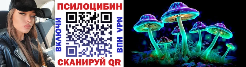 Купить закладки  Шали  Псилоцибиновые грибы Cubensis 